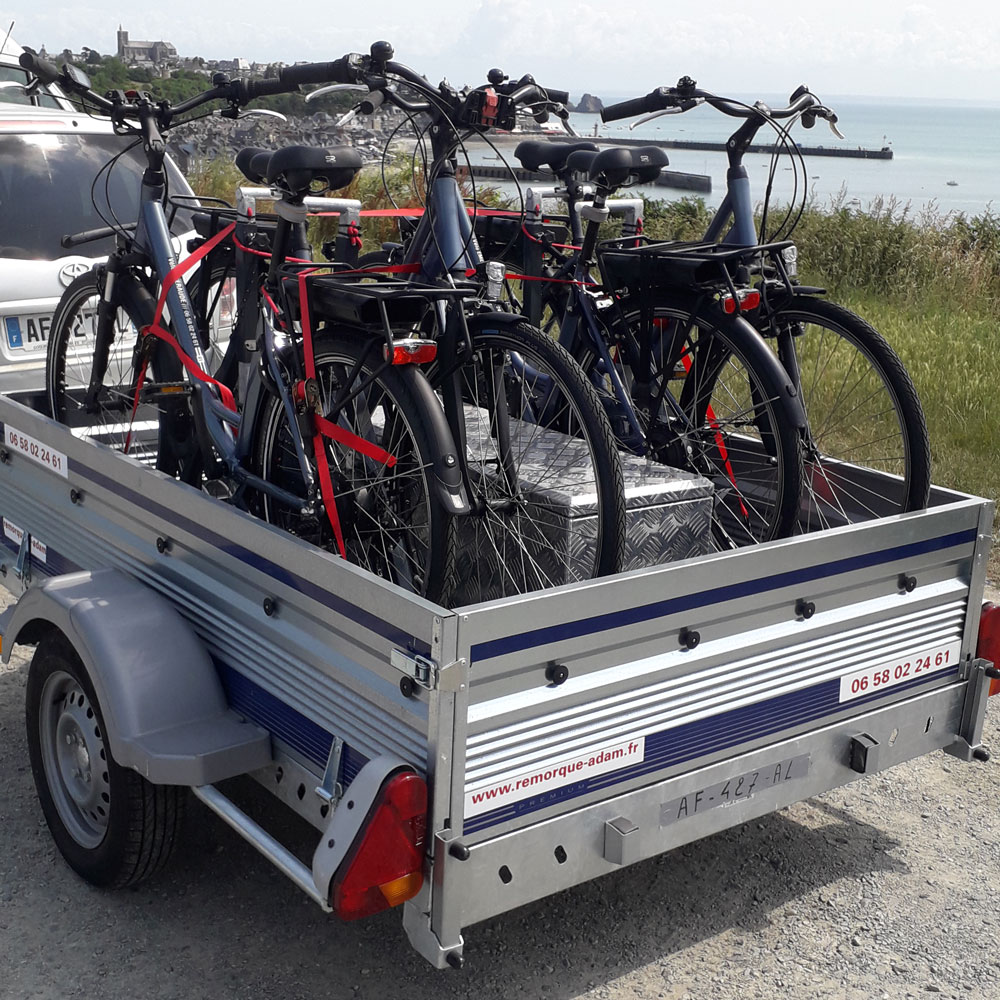 Chariot Velo Remorque De Transport Vu00e9lo Transporter Du